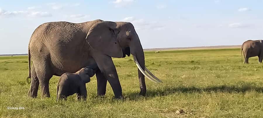 DAY TRIP AMBOSELI NATIONAL PARK FROM NAIROBI BUDGET SAFARI. - The early road south from Nairobi