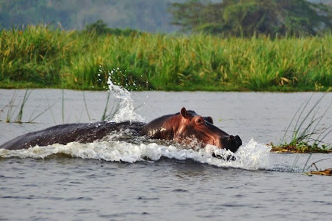 Day Trip Safari - Akagera National Park with Optional Lake Ihema Boat Safari - The 5:00 AM pickup and drive through Rwanda