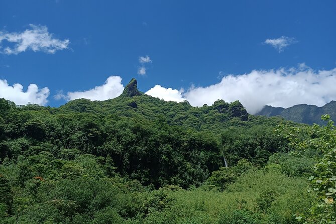 Découvrez le Mana durant la traversée de Tahiti en 4x4 Safari - A guide-led view of Polynesian culture