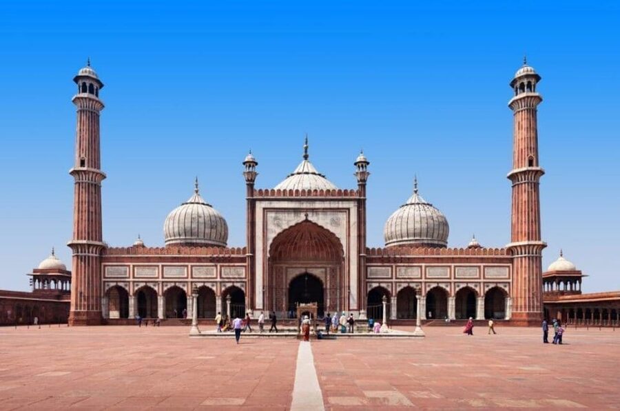 Delhi Agra Jaipur Golden Triangle Multiday Trip with Safari - Ranthambore: a safari with real uncertainty