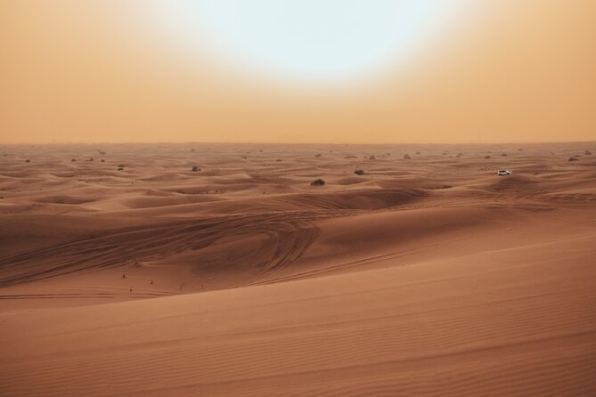 Deluxe Sunset Desert Safari: SandSurfing, Camel Ride & BBQ dinner - Thirty Minutes Over the Red Dunes