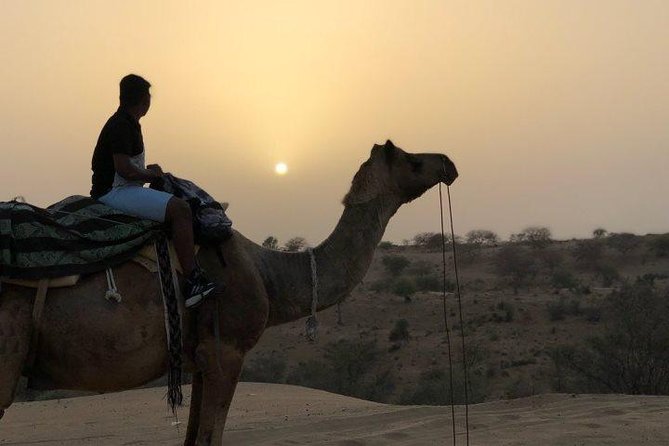 Desert Camel Safari Day Tour In Jodhpur - Why this Jodhpur afternoon trip appeals