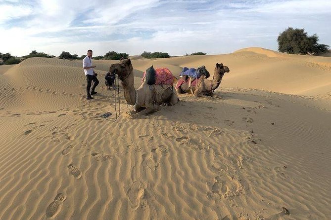 Desert Camel Safari & Jeep Safari Tour From Jodhpur - Adding the jeep safari, folk dance, or dinner