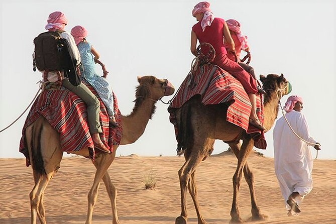 Desert Combo safari, Camel ride, Quad Bike and Dune Bashing(ALL INCLUSIVE) - From Doha to Mesaieed and Sealine Beach