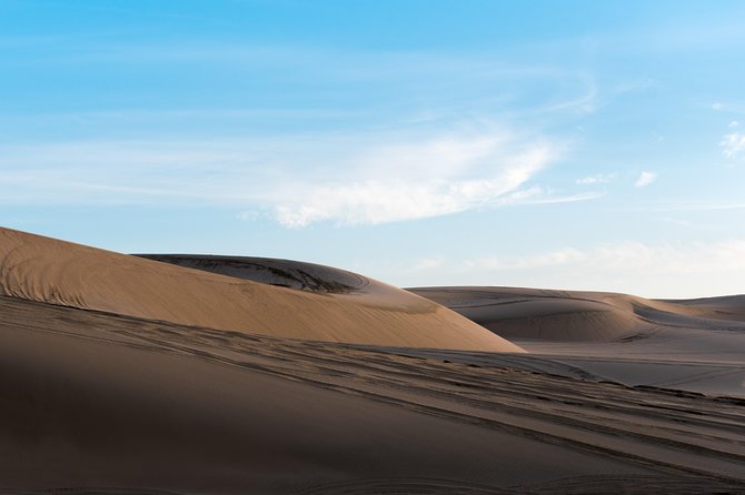 Desert Combo safari, Camel ride, Quad Bike and Dune Bashing(ALL INCLUSIVE) - Dune bashing through Qatar’s southern desert