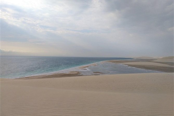 Desert Combo safari, Camel ride, Quad Bike and Dune Bashing(ALL INCLUSIVE) - Khor Al Adaid, the inland sea, and the coast