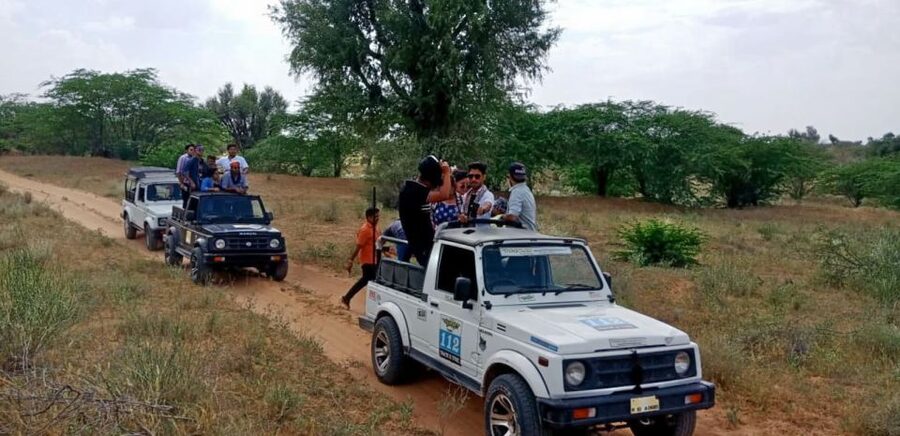 Desert Jeep Safari & Camel Safari Tour From Jodhpur - The Jeep Safari Is More Thrill Than Scenery