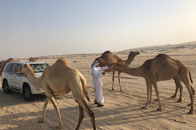 Desert Safari 7 Hours Tour with Dinner and Camp - Which guide might shape your day?