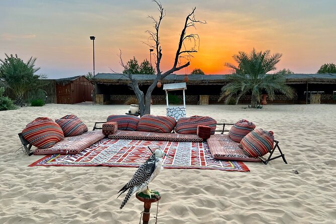 Desert Safari Abu Dhabi w/ Sand Boarding, Camel Ride & BBQ Dinner - Belly dancing, tanoura, and the evening program