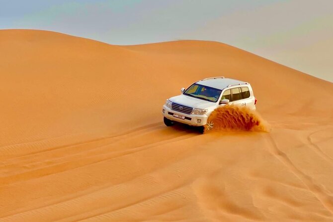 Desert safari adventure with BBQ dinner - BBQ dinner and the confusing meal timing