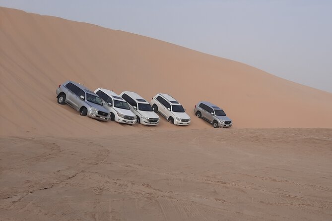Desert Safari and Inland Sea(Private Tour) - Dune bashing in a private 4x4