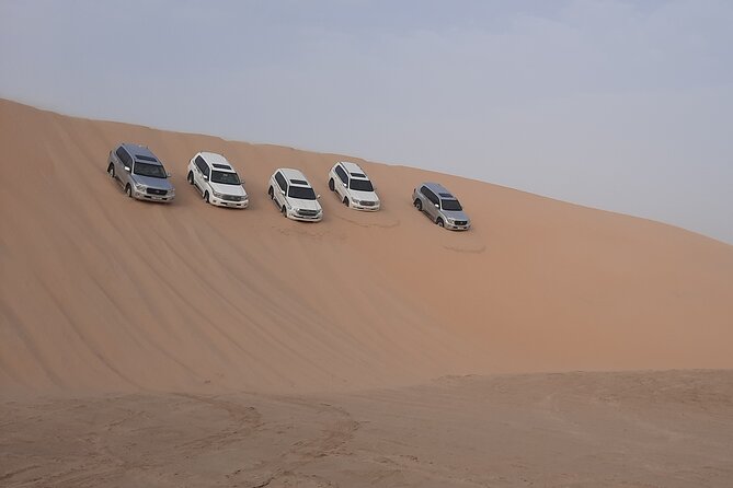 Desert Safari and Inland Sea(Private Tour) - What the $105 price means