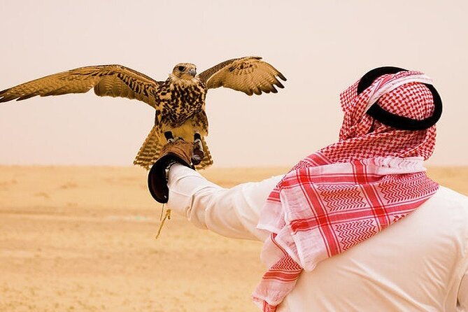 Desert Safari and Quad Bike Experience in Dubai with Dinner - What the seven-hour outing is really like