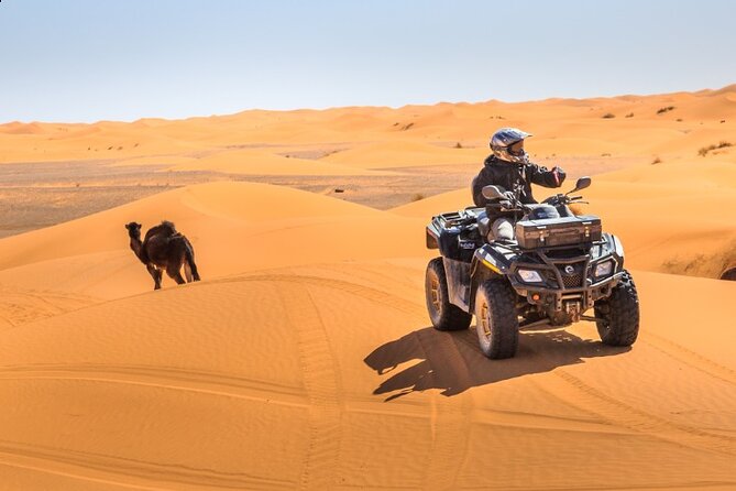 Desert Safari Dubai - Sunset views and the short camel ride