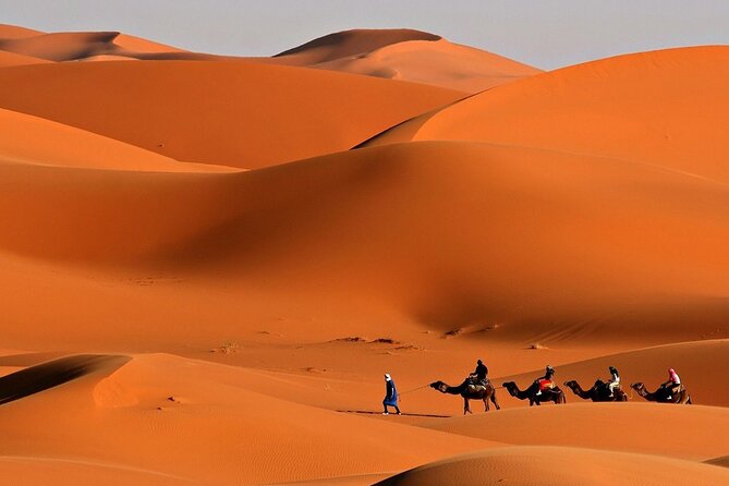 Desert Safari Dubai BBQ Dinner & Live Shows - BBQ Dinner, Drinks, and Food Expectations