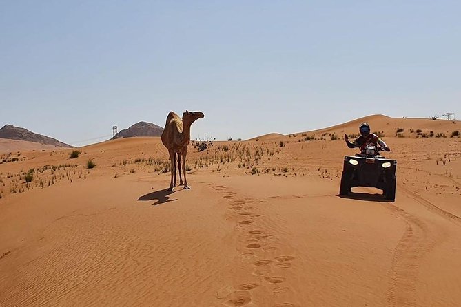 Desert Safari Dubai (PREMIUM VIP) - Camel riding and traditional dress