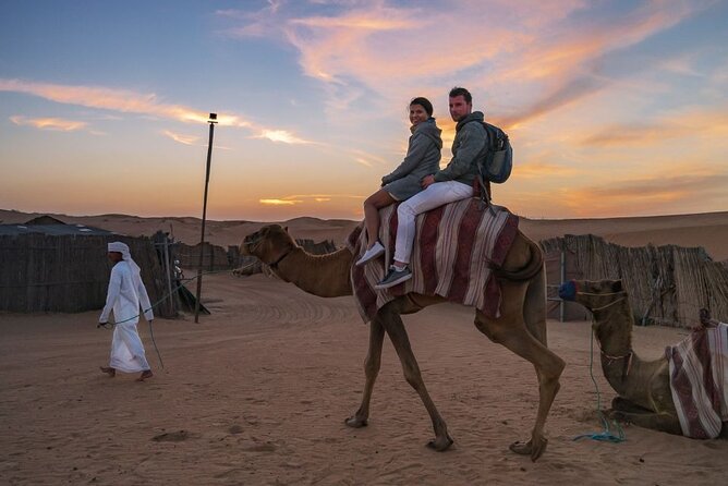 Desert Safari Dubai with BBQ Dinner Buggy Ride and Dune Bashing - What the $200 price really buys