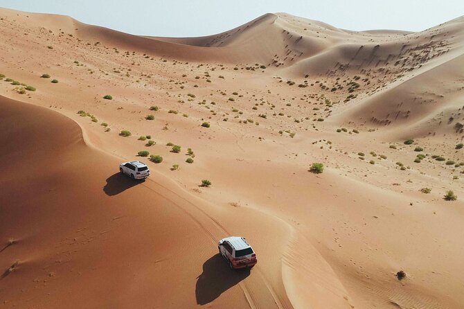 Desert Safari Dubai with Dune Bashing, Activities and Dinner - Key Points Before You Book