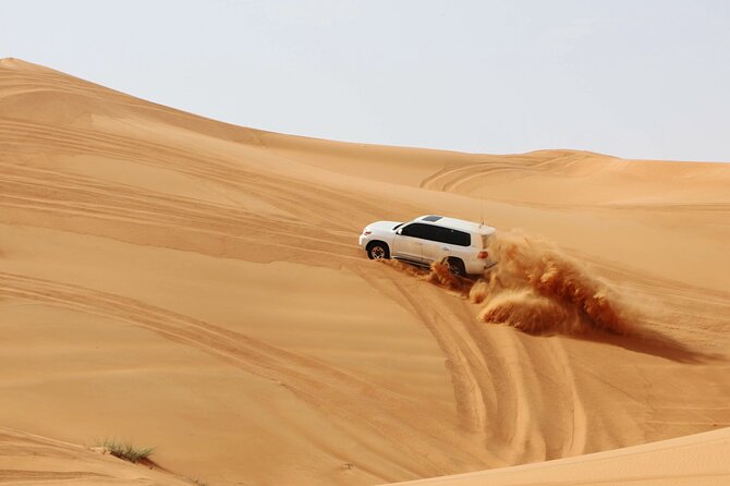 Desert Safari Dubai with Dune Bashing, Activities and Dinner - Forty-Five Minutes on the Red Dunes