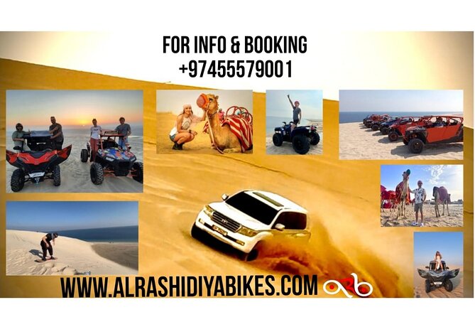 Desert Safari Dune Bashing Camel Ride Sand Surfing Atv or Buggy - Key points at a glance
