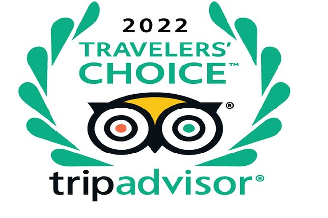Desert safari, Dune bashing, sandboarding, camel, ATV Option - Key points to know before you book
