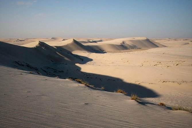 Desert safari, Dune bashing, sandboarding, camel, ATV Option - Returning to Doha after four active hours