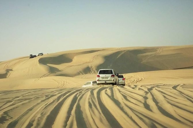 Desert safari, Dune bashing, sandboarding, camel, ATV Option - Price, timing, and overall value