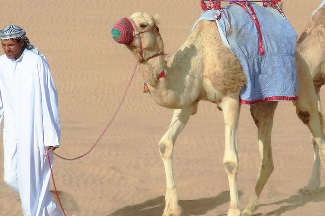 Desert safari, Dune bashing, sandboarding, camel, ATV Option - The camel stop: traditional, but intentionally brief