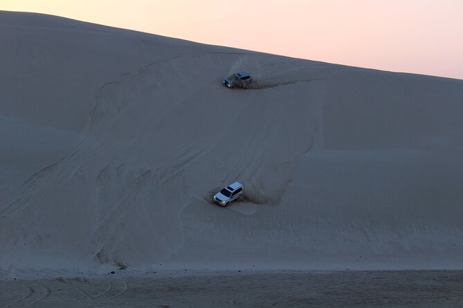Desert Safari | Inland Sea | Half Day | Qatar | Doha - Is the Inland Sea worth a half-day trip?
