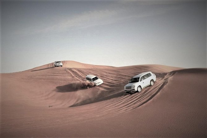 Desert Safari – Morning, Afternoon, Sunrise & Sunset Options - Sandboarding, sledging, and desert photographs