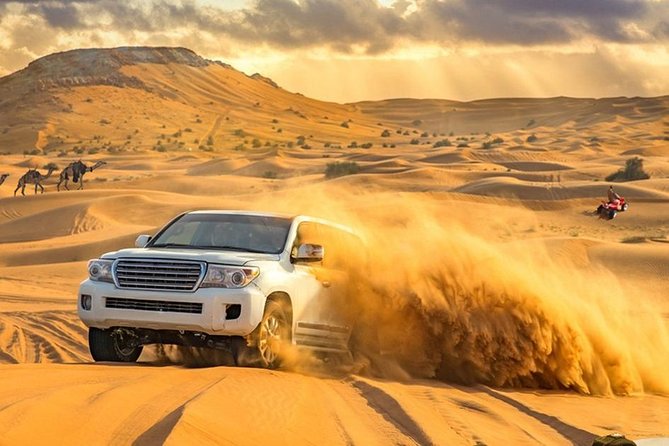 Desert Safari Morning with Camel Ride and Sand Boarding - Why a morning safari works well in Dubai