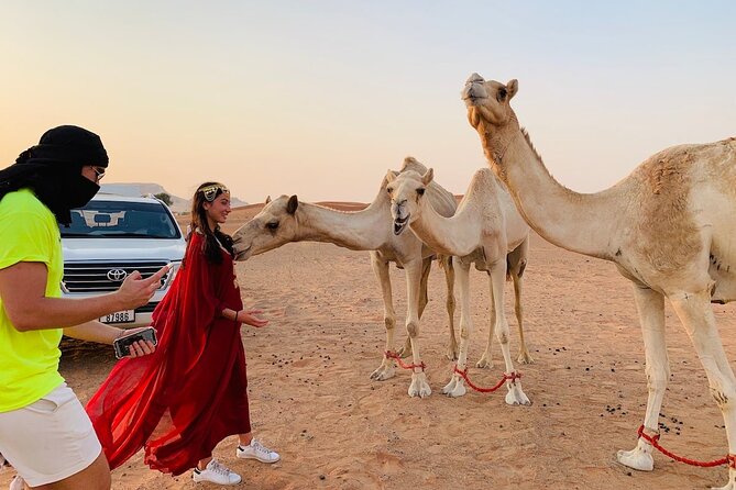 Desert Safari, Open Desert Quad Bike Experience with BBQ Dinner - Sandboarding, camel riding, and sunset photos
