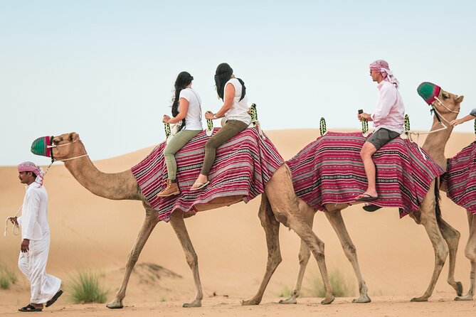 Desert Safari Qatar - Camel time, sand skiing, and the extra-cost question