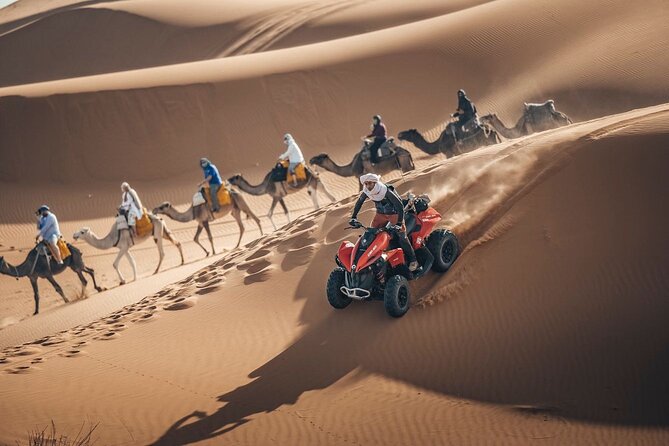 Desert Safari Qatar - Khor Al Adaid is the visual reward