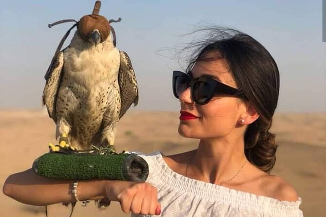 Desert Safari Qatar - Practical advice for making the most of it