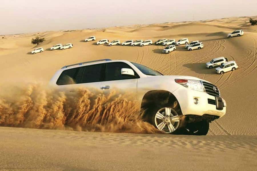 Desert Safari, Quad Bike, Camel Ride, Falcon & Sandboarding - Key points at a glance