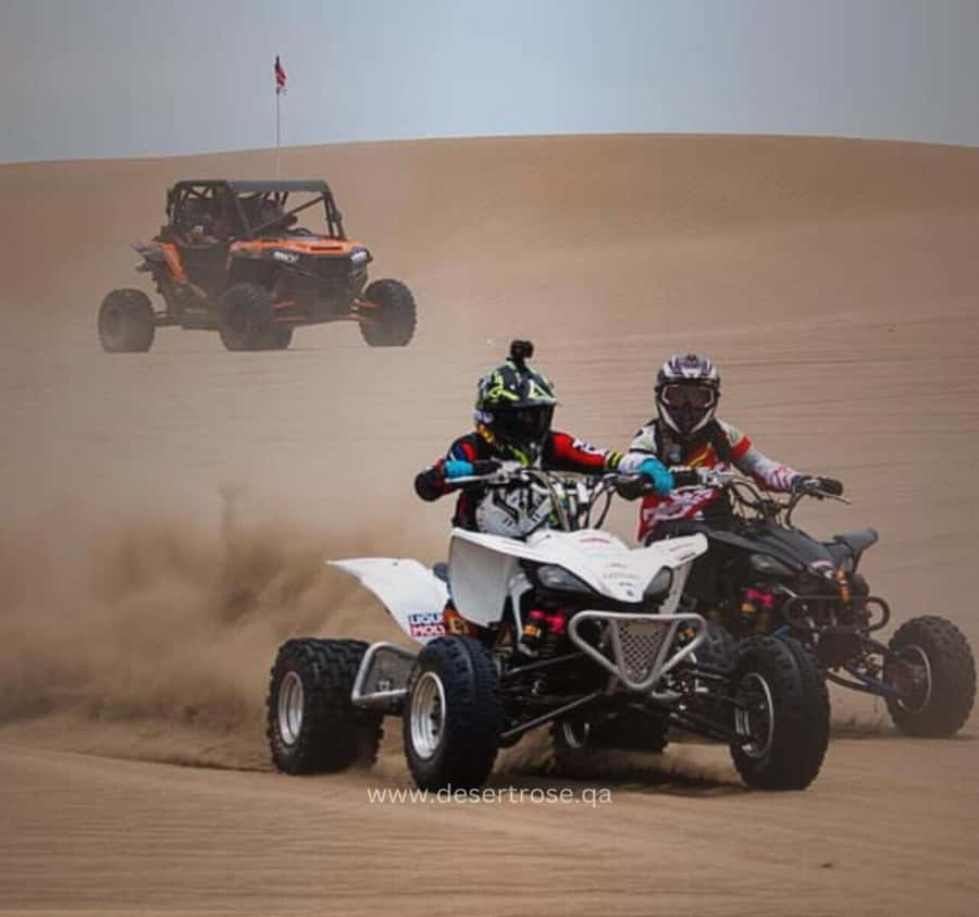 Desert Safari, Quad Bike, Camel Ride, Falcon & Sandboarding - Why this half-day desert safari works