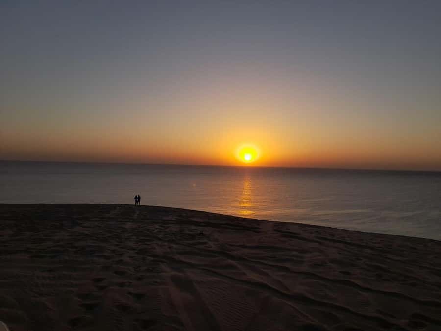 Desert Safari, Quad Bike, Camel Ride, Falcon & Sandboarding - Guides, comfort, and what to bring