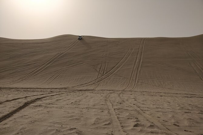 Desert Safari, Quad Bike, Sandboarding and Camel Ride - Sandboarding adds a simple final challenge