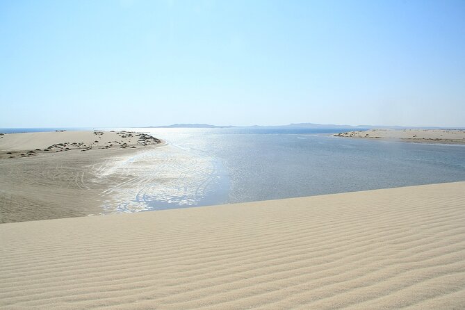 Desert Safari, Quad Bike, Sandboarding and Camel Ride - Timing, comfort, and practical preparation