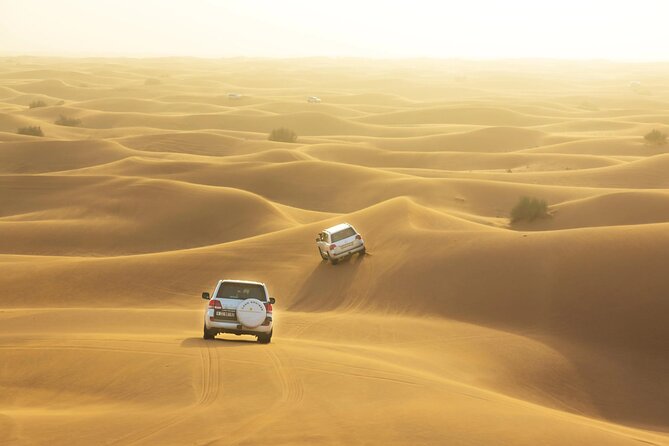 Desert Safari, Quad Biking, Sand Surfing and BBQ Dinner In Dubai - What the $128.39 price really covers