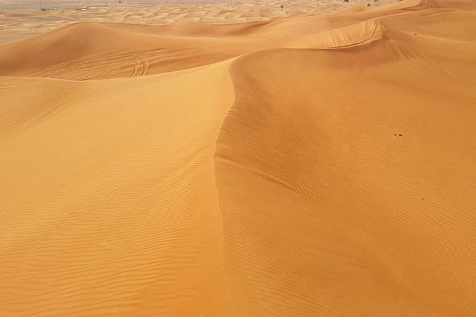 Desert Safari Red Dunes with Camel Ride, Sandboard, BBQ and Shows - BBQ buffet dinner, drinks, and the evening schedule