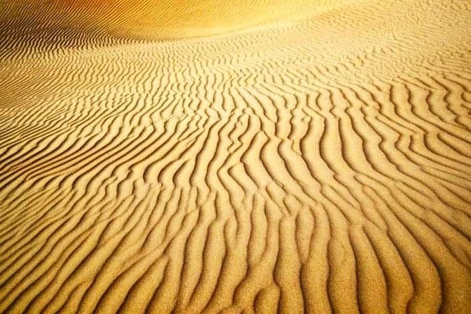 Desert Safari Red Dunes with Camel Ride, Sandboard, BBQ and Shows - The shared 4WD pickup and ride into the red dunes
