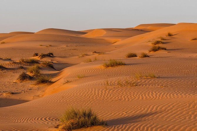 Desert Safari Sharing Tours - From Muscat at 8 a.m. to Oman’s open desert