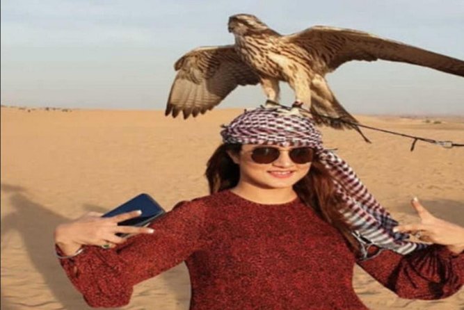 Desert Safari Tour, 6 Hour Fun, Family & Friends, Camel Ride & Dinner Included. - Camp comforts, henna, drinks, and shisha