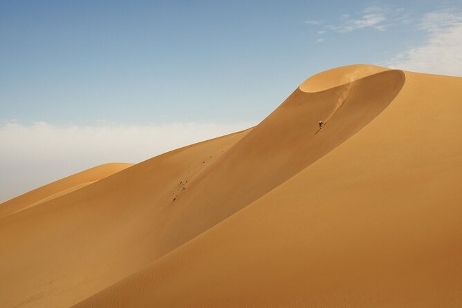 Desert Safari With Bab Al Shams Dinner - Sandboarding and the falcon photo