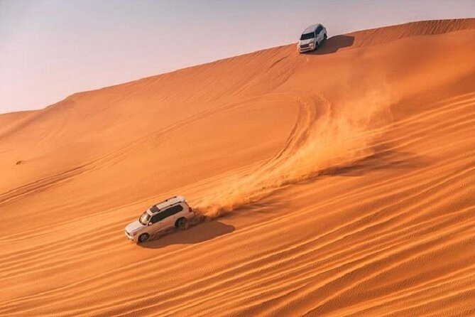 Desert Safari With Bab Al Shams Dinner - Camel, horse, and pony activities