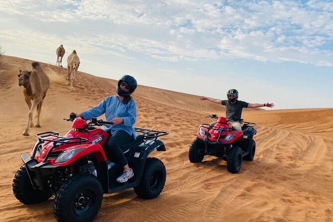 Desert Safari with BBQ Dinner, Camel Ride, Sand Board & Live Show - What You Get for $40