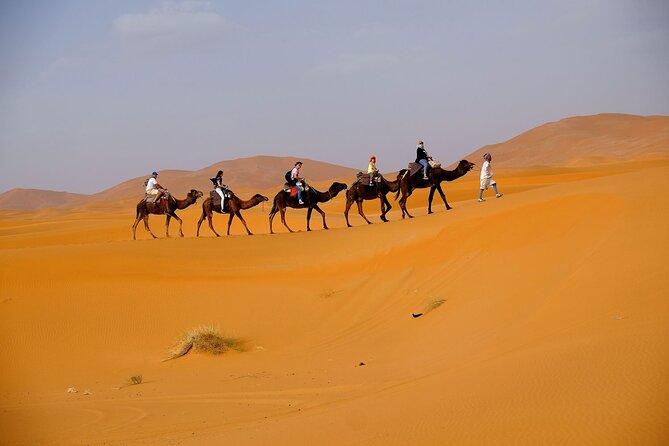 Desert Safari with BBQ Dinner from Dubai - Camel rides and sandboarding