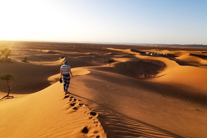 Desert Safari With BBQ Dinner, Quad Ride And And Sand-boarding - Dune bashing across Lahbab’s red dunes
